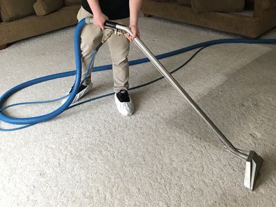 Pet Odor and Stain Removal in Batavia, IL