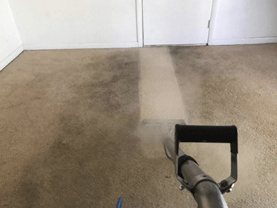 Ecoclean Carpet Stain Removal