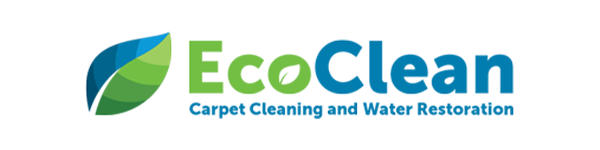 Ecoclean sump pump replacement service