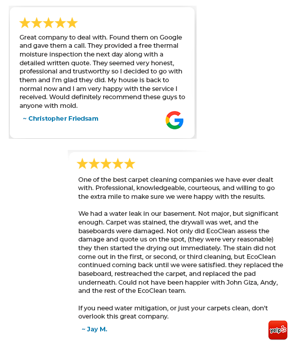 Mold Removal Reviews 5 Star EcoClean