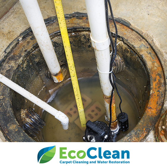 The 1 Sump Pump Replacement & Installation in Naperville EcoClean